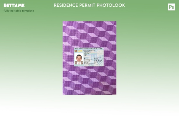 модерен стил Украина дозвола за престој photolook ПРЕДЕН шаблон